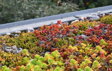 the cost of Lea Hall green roof installation