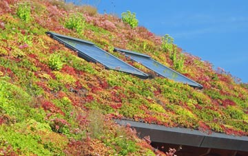 Lea Hall living roof systems